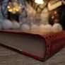 The New Silk Roads: The Present and Future of the World ! Hardcover ! 2018 ! by Bloomsbury ! Image 7
