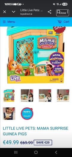 Guiney pig pen toys