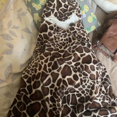 baby car seat blanket