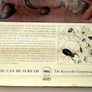 Vintage 1950's Shell Nature Study Beetles poster Image 3