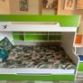 Triple bunk bed with storage Image 5