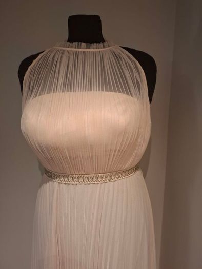 Coast Blush Gown Size 12