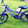 20in Mountain Bike Image 3