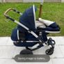 buggies Image 8