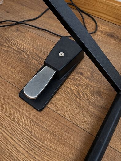 Piano Keyboard + Pedal + Stand
