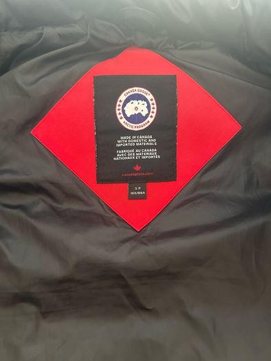canada goose