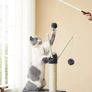 Cat Tree, Cat Tower for Indoor Cats, Kittens, Smoky Grey (FREE POSTAGE) Image 3