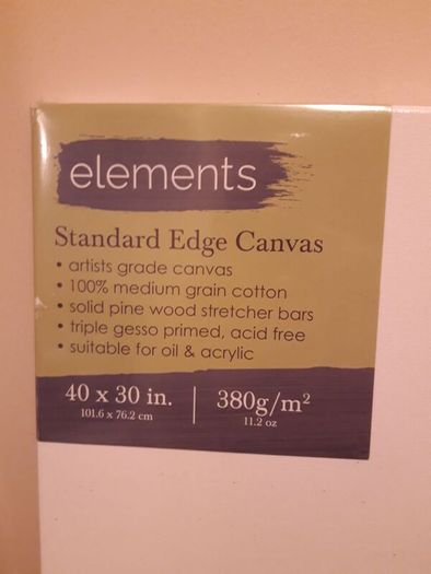 Canvas for paint