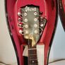 Ibanez Mandolin Image 2