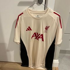 Liverpool training top