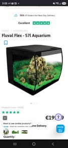 fish tank