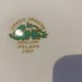 Arklow 1950 s green Dragon rare find large 16 inch platter Image 5