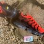 Premium Nike Air Vapormax TN Plus Image 3