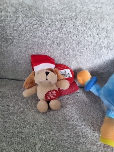 teddys