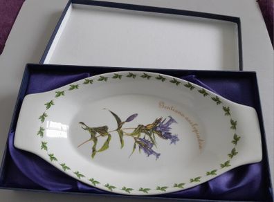 DISH - Serving - Regal - Willow Gentian