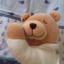 Prince Lionheart Slumber Bear Image 3