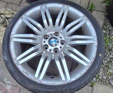 19" genuine spiders for sale