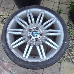 19" genuine spiders for sale
