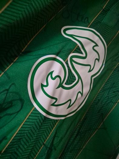 Euro 2012 squad signed ireland jersey,size XL MINT condition