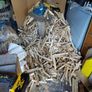 Kindling Image 8