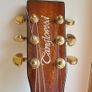 Tanglewood Sundance TW47E Image 2