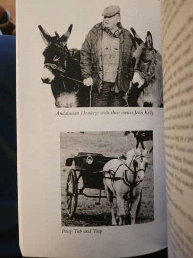 An Fear Deirce. The Begger Man And The Hungry Grass. By John  Lawlor. Paperback In Good Condition.
