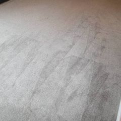 Carpet