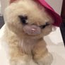 Barbie and the Three Musketeers Miette the Cat 2008 Mattel Interactive includes DVD Image 2