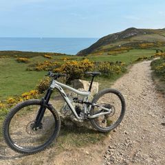 Full suspension mtb - Ibis Ripmo AF 2021 (L)