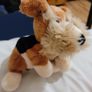 Simply Adorable Plush Soft Toy Dog Brand New Image 4
