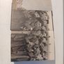 Terenure College 1860 - 2010: A History by Fergus A. D'Arcy Image 2