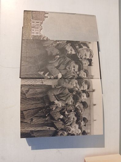 Terenure College 1860 - 2010: A History by Fergus A. D'Arcy
