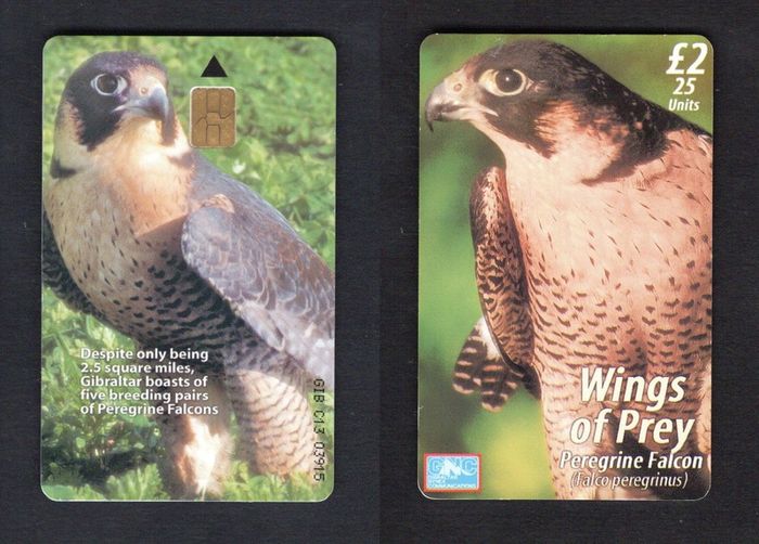 2001 Gibraltar 25 unit War Peregrine Eagle (Siemens - S5 (Module 33)) Phonecard