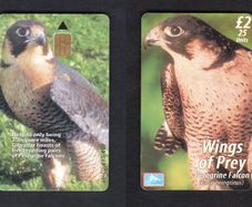 2001 Gibraltar 25 unit War Peregrine Eagle (Siemens - S5 (Module 33)) Phonecard
