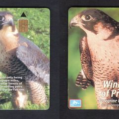 2001 Gibraltar 25 unit War Peregrine Eagle (Siemens - S5 (Module 33)) Phonecard