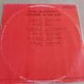 Paul Mccartney - Flowers In The Dirt - Vinyl Record + Hundreds More Image 2