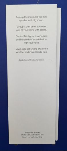 Google Nest Mini