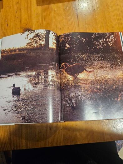 Just Dogs. A Literary And Photographic Tribut To The Great Hunting Breeds. First Edition Large Volume Hardback With Dustjacket In Good Condition.  See Photos For Same.