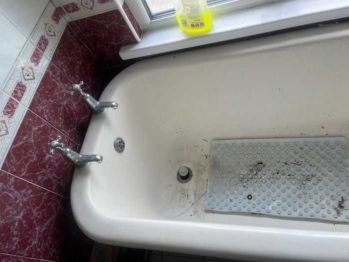 cast iron bath in ornate feet.