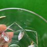3 Waterford Crystal Tumblers Image 4