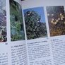 Black's picture information books/ Wild Flowers of verges & waste land/ 1977 Image 6