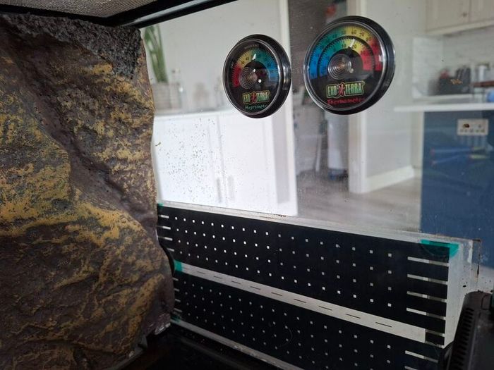 exo terra terrarium