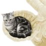 Cat tree with scratching ramp Cat tree with large viewing platform, scratching board, beige Image 3