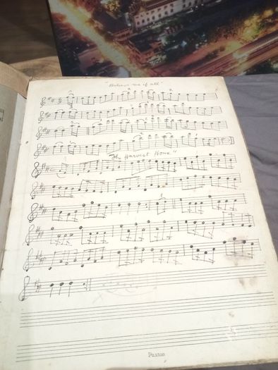 manuscript of Lily Bodie Dublin 1920