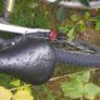 Bicycle, childs. Image 4