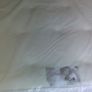 Memory foam orthopedic mattresses Image 5