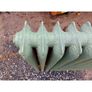 Cast Iron Radiator  Large Green Ornate- KAS479 Image 3