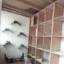 Pigeon loft Image 3