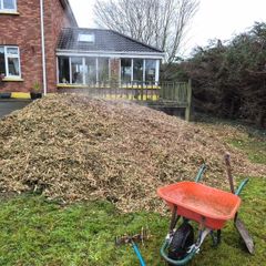 Free Mulch near Castlebellingham