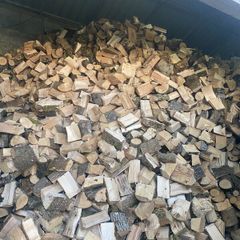 Firewood